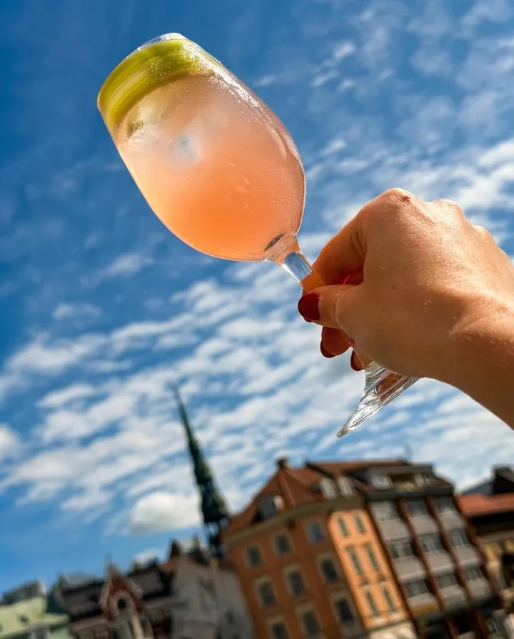 Rabarbera & plūškoka ziedu spritz