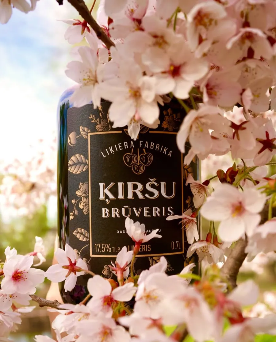 Cherry Brūveris among cherry blossom